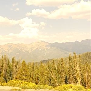 Meet your Posher, Rahma